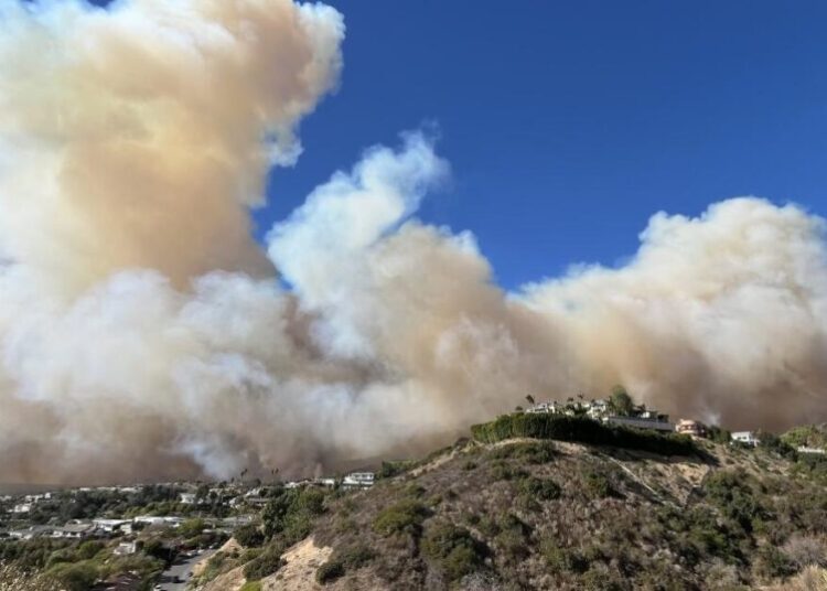 LAFD leaders tried to cover up Palisades fire mistakes. The truth still emerged