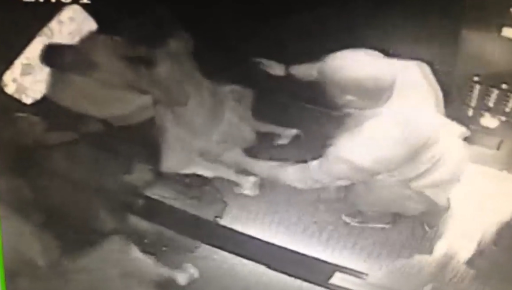 Surveillance footage of Solange Knowles attacking Jay-Z in an elevator.