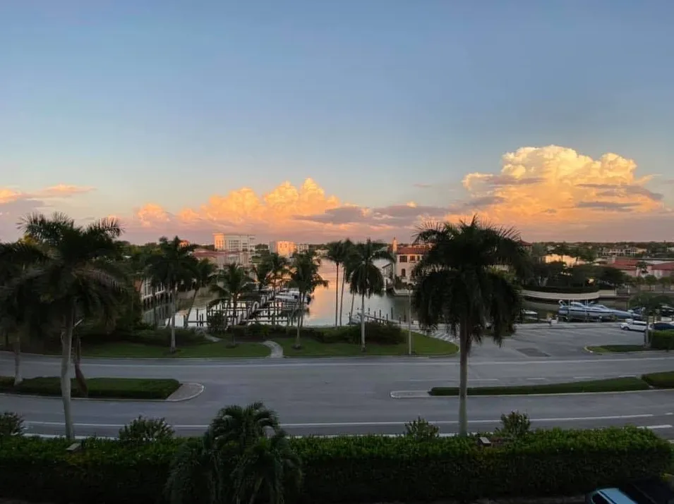 View from the Hoff's Florida condo with a marina, palm trees, and buildings under an evening sky.