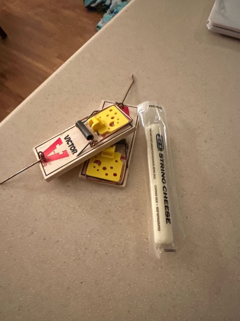 Mouse traps with string cheese.