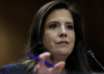 Insiders fume as Trump leaves ally Elise Stefanik hanging: ‘A primary doesn’t help us’