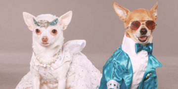 Where Do Humans Fall on the Mammal ‘Monogamy Scale’?