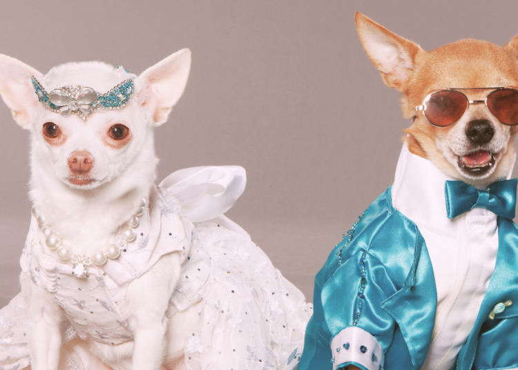 Where Do Humans Fall on the Mammal ‘Monogamy Scale’?