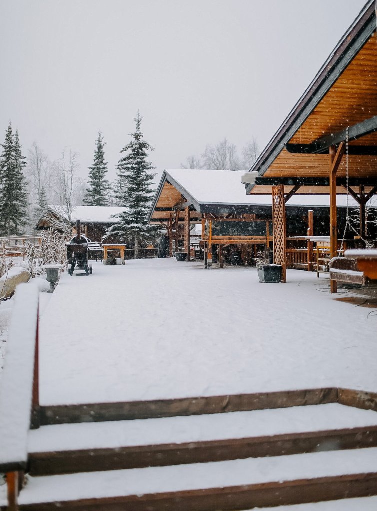 To their surprise, it was accepted, and after three years, they are now working towards becoming self-reliant.