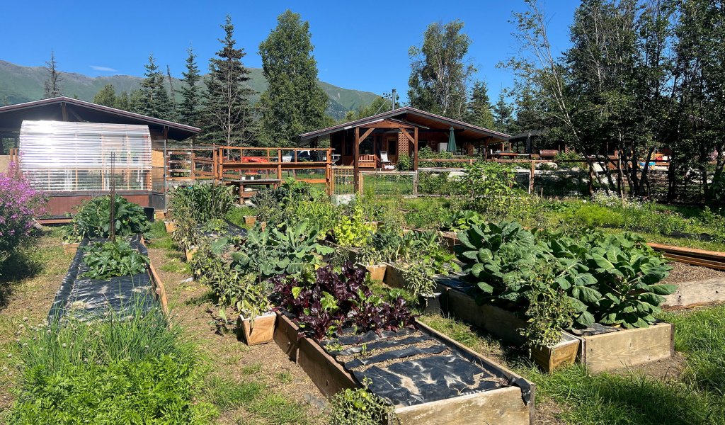 To their surprise, it was accepted, and after three years, they are now working towards becoming self-reliant.