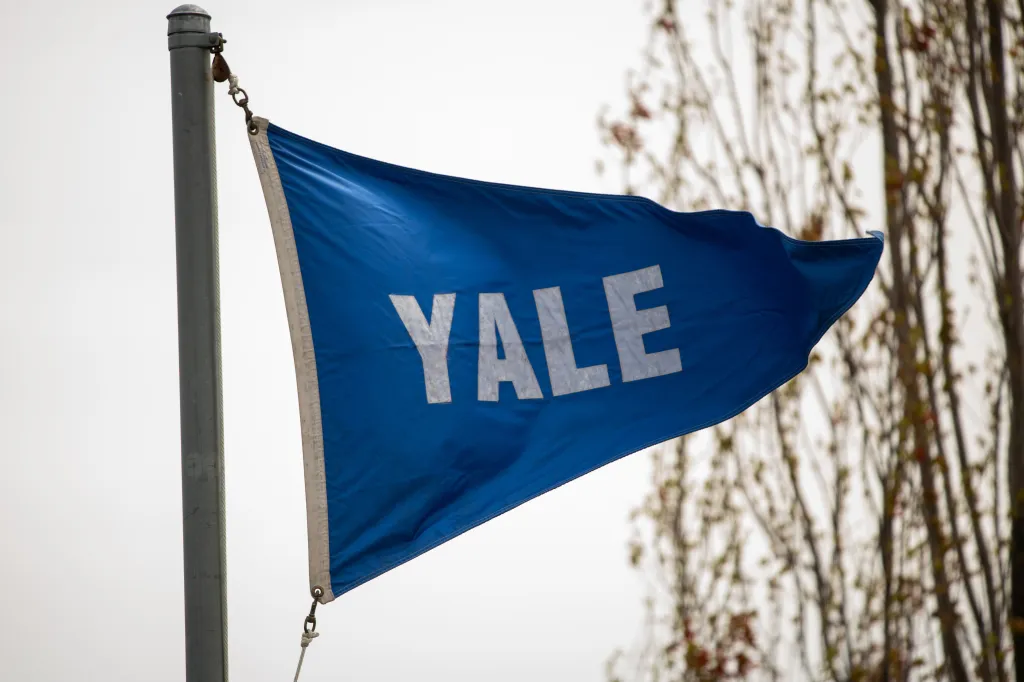 A Yale Bulldogs flag waving in the wind.