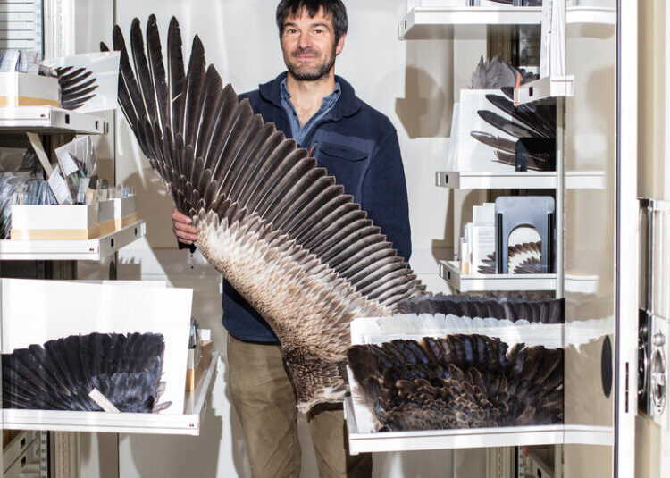 Nature’s Super Feather