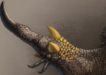 This Dinosaur Really Knew How to Get a Grip