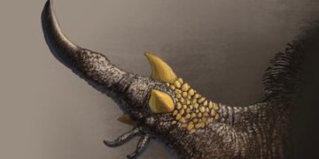 This Dinosaur Really Knew How to Get a Grip