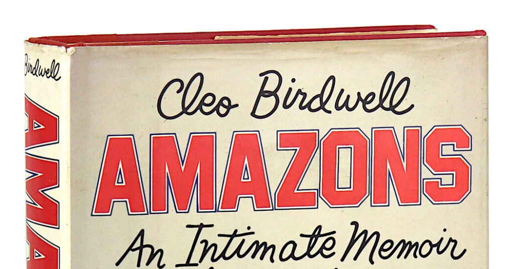 Did Don DeLillo Invent the Racy Hockey Novel?