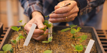 For the World’s Food Supply, Federal Funding Cuts Have Long-Term Impacts