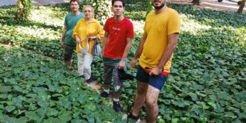 Iran Killed Thousands of Protesters. Here Are Five of Their Stories.