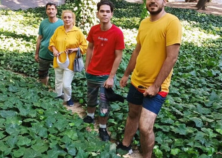 Iran Killed Thousands of Protesters. Here Are Five of Their Stories.