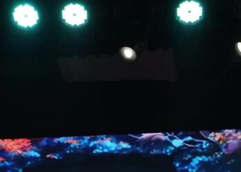 All-Night Concerts Bring Fleeting Normalcy in a War-Ravaged Nation