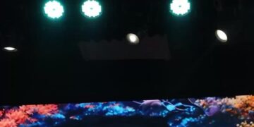 All-Night Concerts Bring Fleeting Normalcy in a War-Ravaged Nation