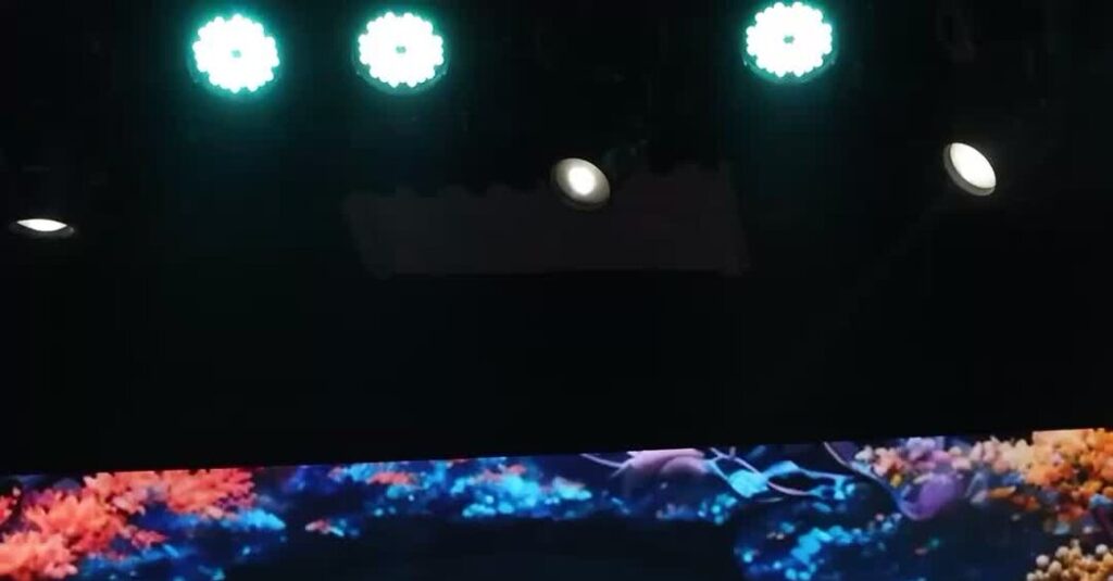 All-Night Concerts Bring Fleeting Normalcy in a War-Ravaged Nation