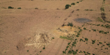 After U.S. Strikes on Christmas, Fear Grips Muslims in Rural Nigeria