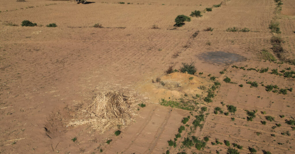 After U.S. Strikes on Christmas, Fear Grips Muslims in Rural Nigeria