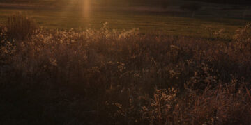 At Middlebury, She Hoped to Start Fresh. In Trump’s America, It Seemed Impossible.