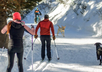 In Jackson Hole, a Different Kind of Skiing