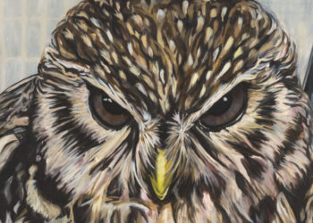 Art Gallery Shows to See in January