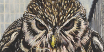 Art Gallery Shows to See in January