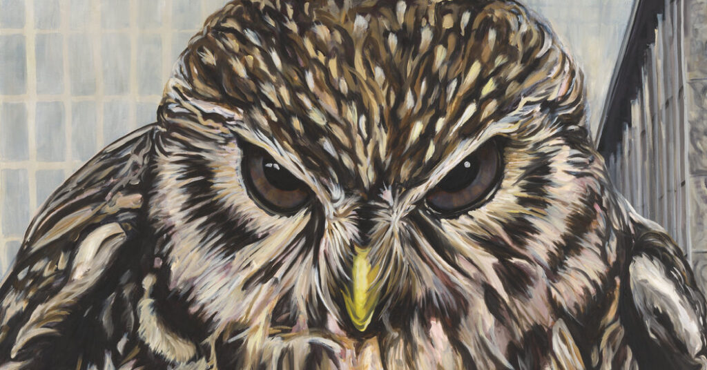 Art Gallery Shows to See in January