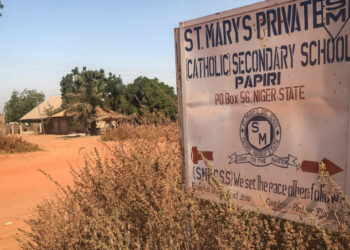 Days After U.S. Strikes in Nigeria, Gunmen Kill Dozens of Villagers