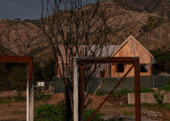 Which City Burns Next?