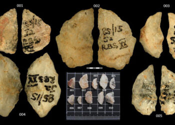 Scientists Discover Oldest Poison, on 60,000-Year-Old Arrows