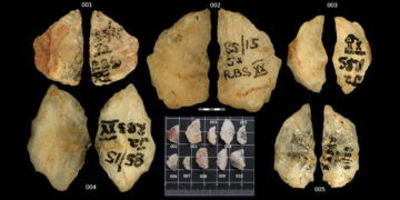 Scientists Discover Oldest Poison, on 60,000-Year-Old Arrows