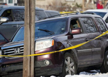 Federal Agent Shoots Woman Amid Minneapolis Crackdown