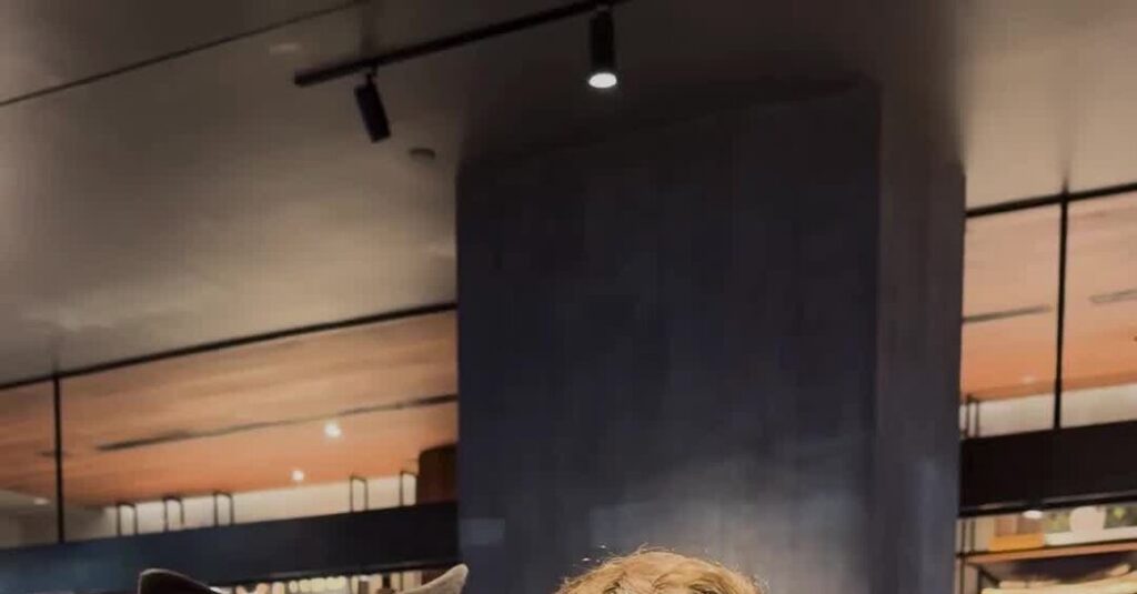 Carrying for a Cause: Meet the Man Lugging Shelter Dogs Around New York