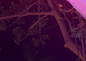 On a Chinese Island, a Sunny Sanctuary for Russian Tourists