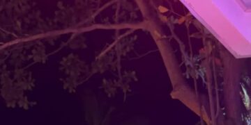 On a Chinese Island, a Sunny Sanctuary for Russian Tourists