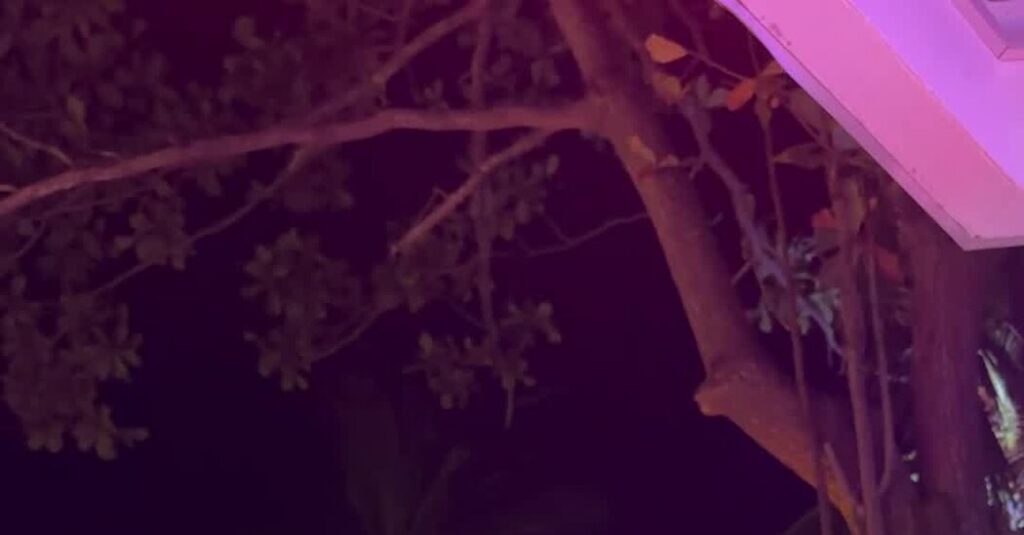 On a Chinese Island, a Sunny Sanctuary for Russian Tourists