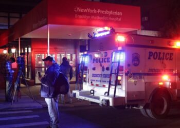 N.Y.P.D. Fatally Shoots Blade-Wielding Man in Hospital, Officials Say
