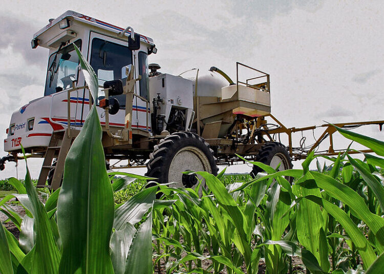 The War Over a Weedkiller Might Be Headed to the Supreme Court