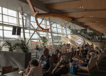 Why Are New Zealanders Moving to Australia? More Money, Better Vibes.