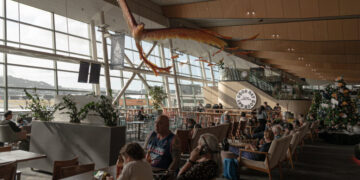 Why Are New Zealanders Moving to Australia? More Money, Better Vibes.