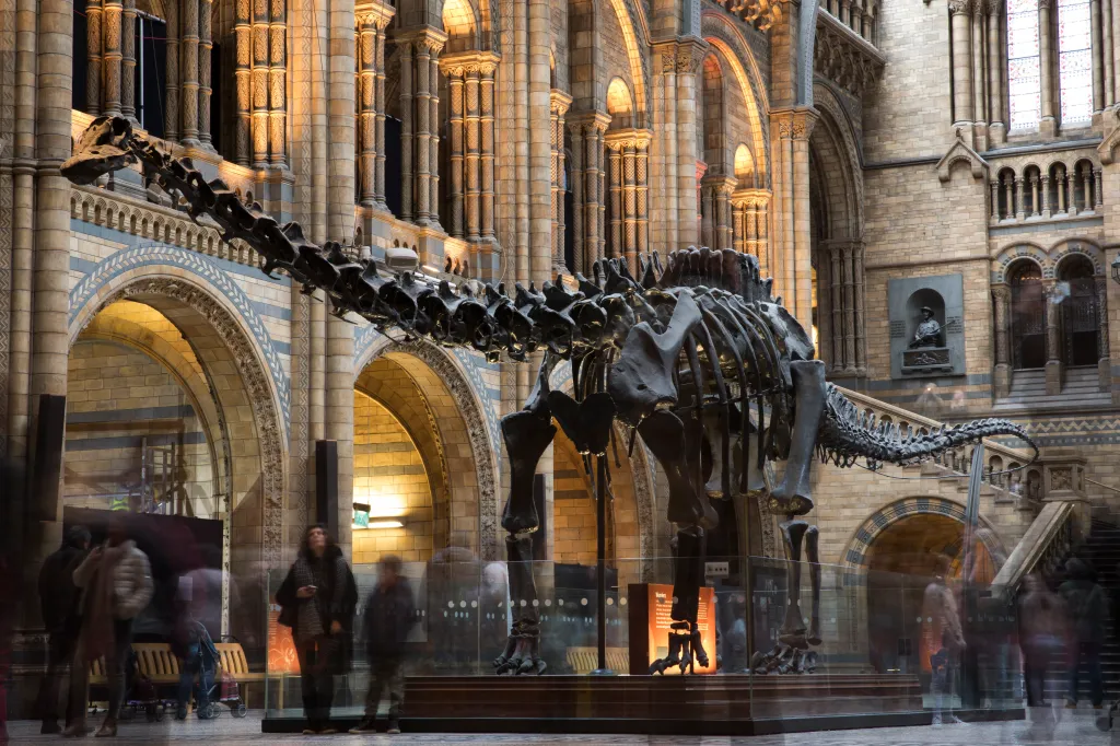 People gather around a dinosaur skeleton in the Natural History Museum in London.