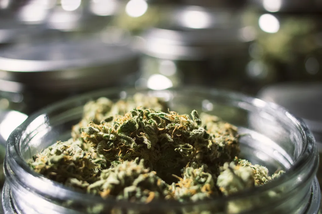 Close-up of marijuana buds in a glass jar.