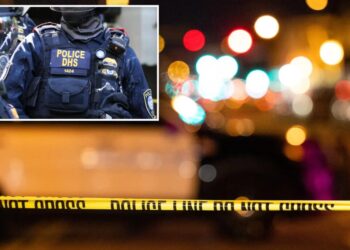 Off-duty DHS agent fatally shoots armed neighbor in New Year’s Eve dispute