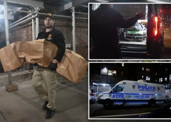 Chinatown maniac was placed in drug program to reduce 90% of prior prison sentence — months before killing own elderly mom