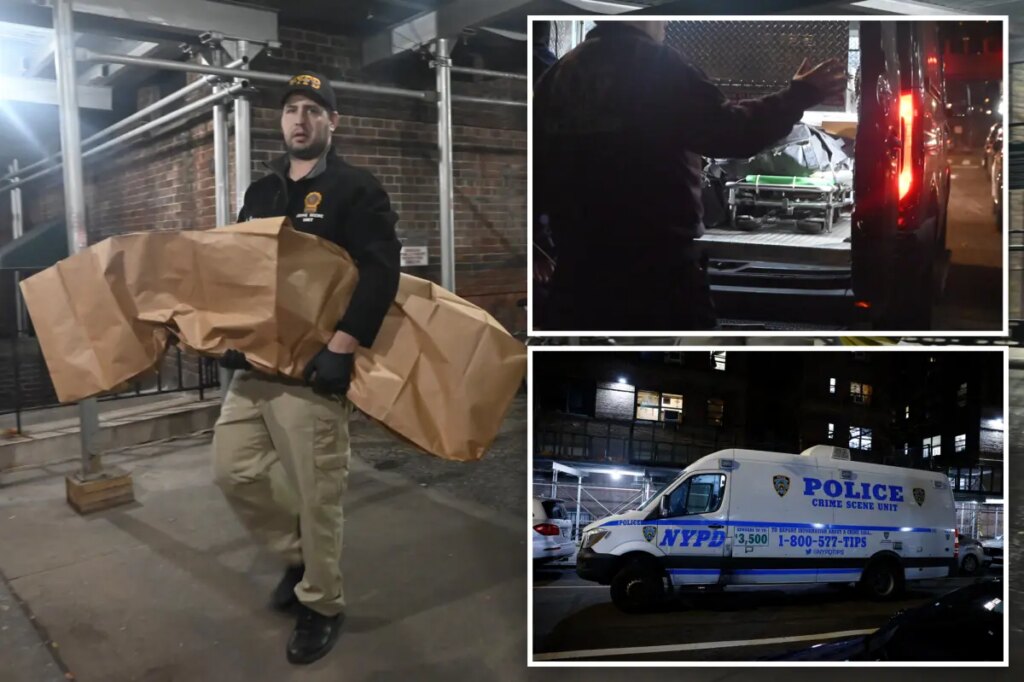 Chinatown maniac was placed in drug program to reduce 90% of prior prison sentence — months before killing own elderly mom