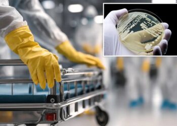 Deadly ‘superbug’ is spreading across US as drug resistance grows, researchers warn