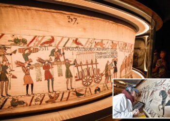 Researcher reveals a surprising new theory about history’s most famous tapestry