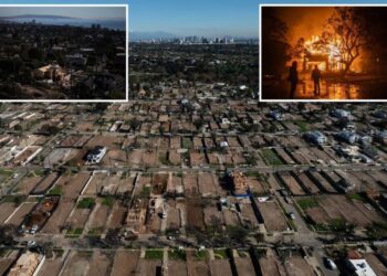 Here’s the real cost of the 2025 LA wildfires — showing billions of dollars in losses