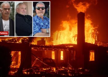 Los Angeles smacked with over a dozen wrongful death lawsuits from Palisades fire victims