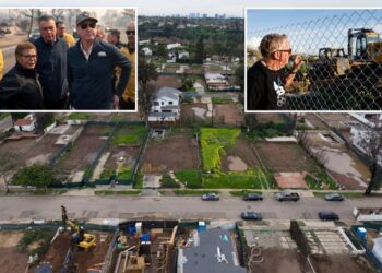 The Palisades are still a wasteland wrapped in red tape — a year after Los Angeles promised to help rebuild